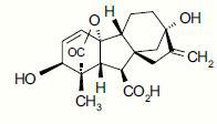 Gibberellic acid 10% Tablet Plant Growth Retardant CAS 77-06-5