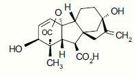 Gibberellic acid 10% Tablet Plant Growth Regulator