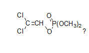 Dichlorvos 1000gl EC Organic Insecticide cas 62-73-7 Modern Pesticides