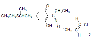 Clear / amber liquid Selective Herbicides Clethodim 24%EC for soya beans , flax