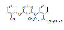 Azoxystrobin 25%SC broad spectrum Plant Fungicide CAS 131860-33-8