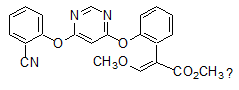 Carbendazim 50%SC Chemical Fungicide For Plants CAS 10605-21-7