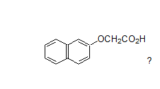 Beta naphthoxyacetic acid NOA B-NOA Plant Growth Regulators CAS 120-23-0