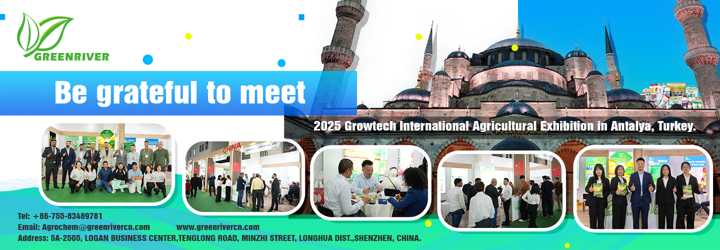 Quality Insecticides factory