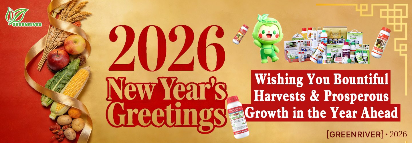 Quality Insecticides factory