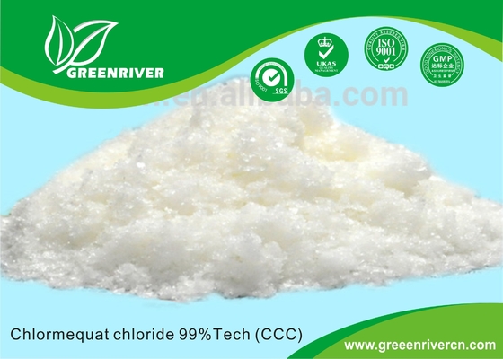 Best Chlormequat chloride CCC Plant Growth Regulators White Crysstalline Powder PGR for sale