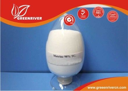 China 519-02-8 Matrine Insecticide Biological Pesticides for Formosan subterranean termite distributor