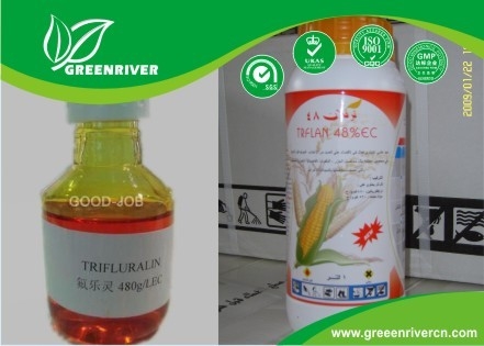 China Acetochlor Select Herbicide 34256-82-1 , Pre Emergent Herbicides IN Yellow liquid distributor