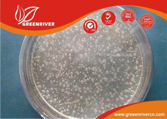 China Bacillus sphaericus mosquito larvae insecticide /  Powder Pesticides  On Vegetables distributor