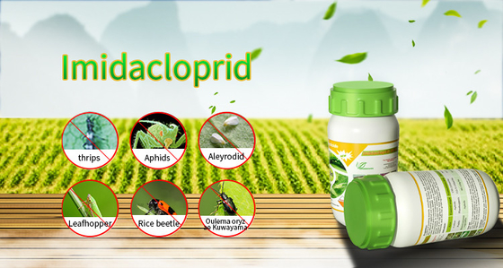 Cas 138261-41-3 Imidacloprid 20%SL insecticide Products kill Mealy Bug supplier