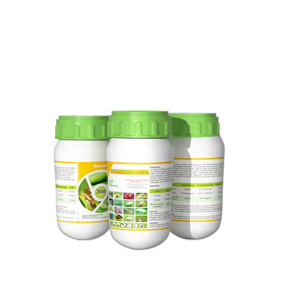 Cas 138261-41-3 Imidacloprid 20%SL insecticide Products kill Mealy Bug supplier