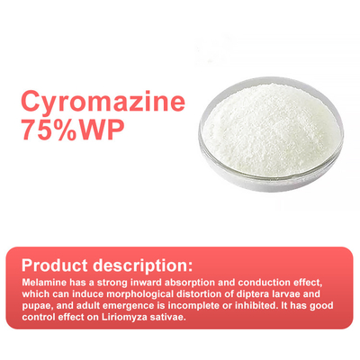Cyromazine 75%WP insecticide for leaf miners CAS No 66215-27-8 supplier