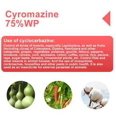 Cyromazine 75%WP insecticide for leaf miners CAS No 66215-27-8 supplier
