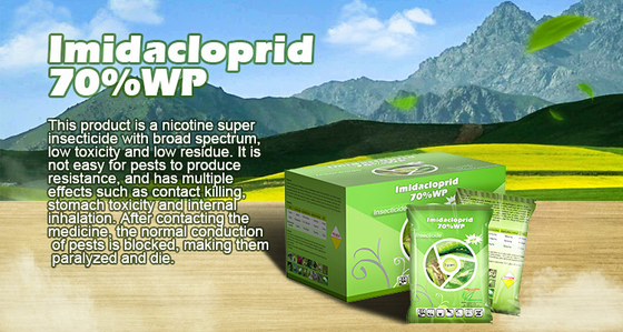 Imidacloprid 70% WP Natural Insecticide Powder CAS No 138261-41-3 supplier