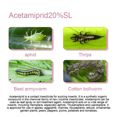 Systemic Organic Insecticide acetamiprid 20%SL CAS No 135410-20-7 supplier