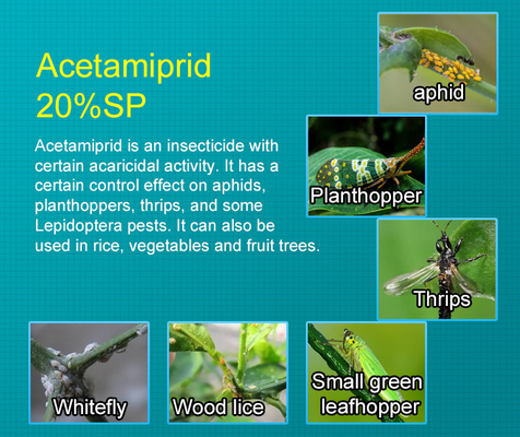 cas 135410-20-7 Acetamiprid 20%SP Organic Insecticide for leafy vegetables , citrus fruits supplier