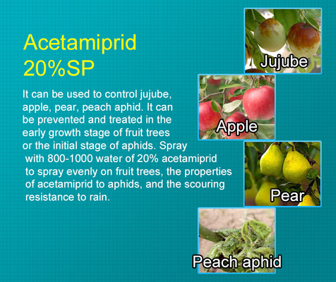 cas 135410-20-7 Acetamiprid 20%SP Organic Insecticide for leafy vegetables , citrus fruits supplier