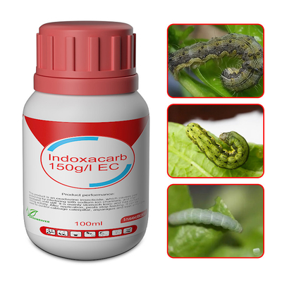 cas 144171-61-9 Indoxacarb 15%SC systemic insecticides for Cotton / vegetables / fruit supplier
