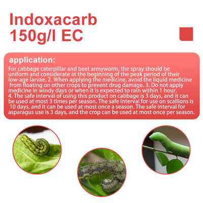 cas 144171-61-9 Indoxacarb 15%SC systemic insecticides for Cotton / vegetables / fruit supplier
