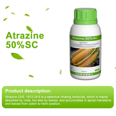 Atrazine 50%SC Selective triazine herbicide supplier