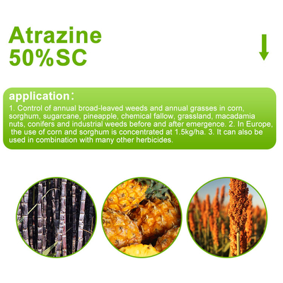 Atrazine 50%SC Selective triazine herbicide supplier