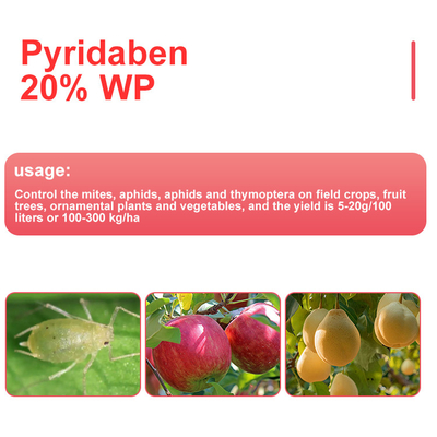 Non - systemic pyridaben Acaricide Products in Off white powder supplier