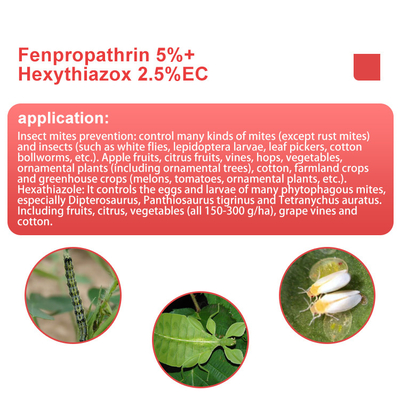 Hexythiazox 10%WP Commercial Pesticides Non - systemic acaricide supplier