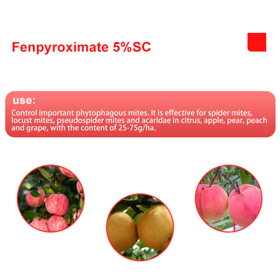Fruit , Citrus Agro chemical Acaricide Products Fenpyroximate 5%SC supplier
