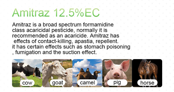 Professional  Amitraz 20%EC Non systemic Insecticide cas 33089-61-1 supplier