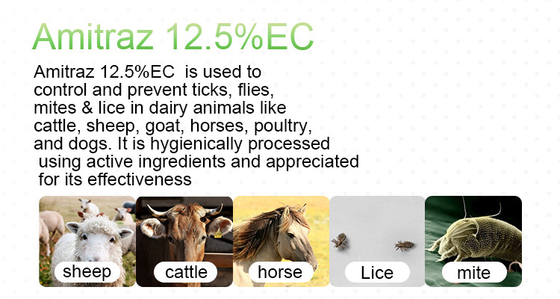 Professional  Amitraz 20%EC Non systemic Insecticide cas 33089-61-1 supplier