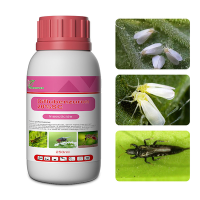 35367-38-5 Diflubenzuron Insecticide / Wood Borer Insecticide for Tree , Plant supplier