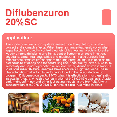 35367-38-5 Diflubenzuron Insecticide / Wood Borer Insecticide for Tree , Plant supplier