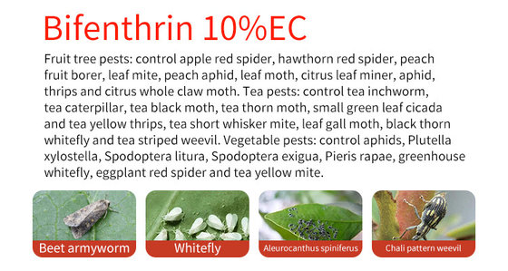 CAS 82657-04-3 powder Bifenthrin insecticide , Honey Bee Insecticide supplier