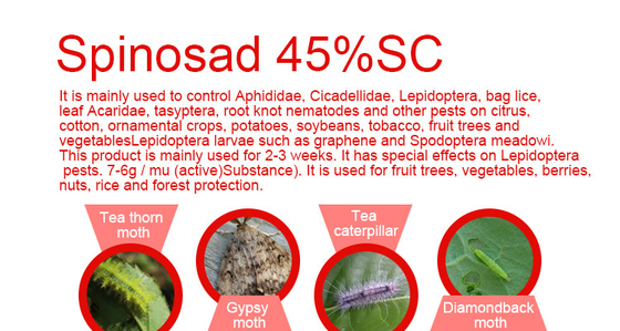 48%SC Spinosad Insecticide 168316-95-8 Vegetable Garden Insecticides supplier