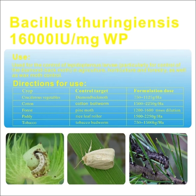 Bacillus subtilis powder Biological Pesticides Insecticide for legume , aubergines supplier