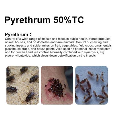 50% Tech Pyrethrum Insecticide biological pesticides cas 8003-34-7 supplier