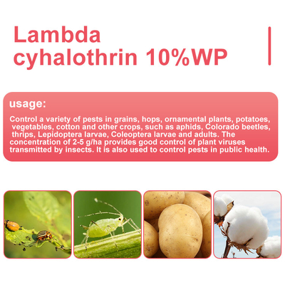 Lambda Cyhalothrin Insecticide for Aphids / Beetles / Thrips , CAS 91465-08-6 supplier