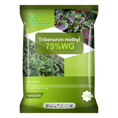 cheap 101200-48-0 Tribenuron Methyl Selective Herbicides For Maize , White powder