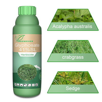 Fast Acting Weed Killer broad spectrum herbicide with glyphosate 41%SL supplier