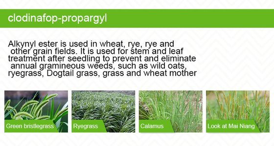 Clodinafop Propargyl herbicide 6%EC 105512-06-9 in Light Yellow Liquid supplier