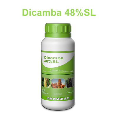 Dicamba 48% SL Roundup Herbicide Kill Broad Keaved Weeds supplier