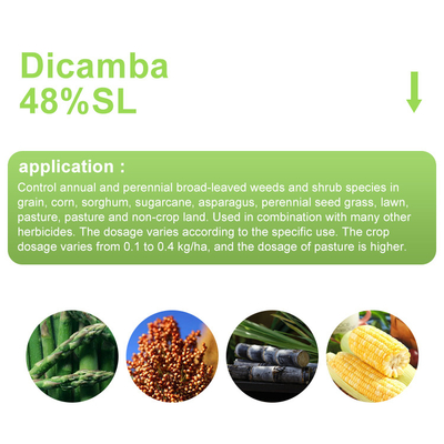 Dicamba 48% SL Roundup Herbicide Kill Broad Keaved Weeds supplier