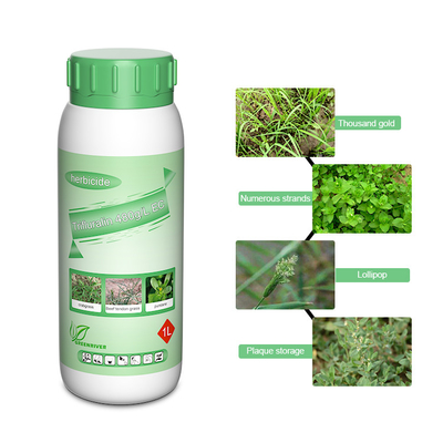 Trifluralin 48%EC sugar beet herbicides Fast Acting Weed Killer cas 1582-09-8 supplier