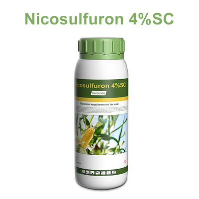 111991-09-4 Nicosulfuron post emergent herbicide for johnsongrass supplier