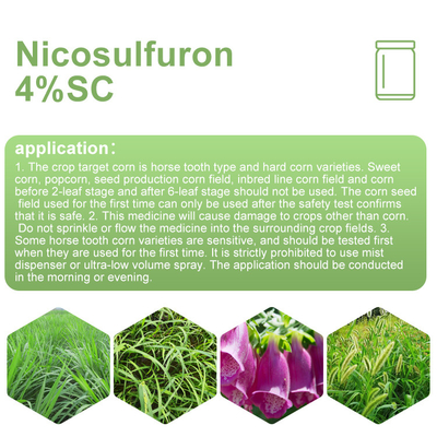 111991-09-4 Nicosulfuron post emergent herbicide for johnsongrass supplier
