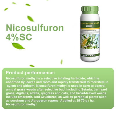 111991-09-4 Nicosulfuron post emergent herbicide for johnsongrass supplier