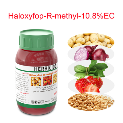 Liquid Safe Herbicide Haloxyfop R Methyl Weed Killer For Vegetable Gardens supplier