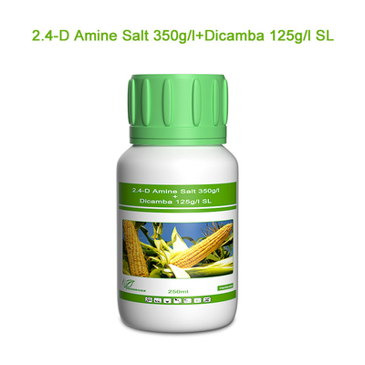 Dicamba / Triasulfuron Selective Herbicides cas 1918-00-9 / 82097-50-5 supplier