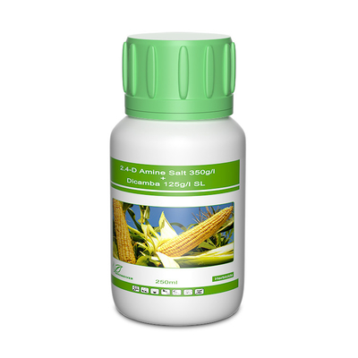Dicamba / Triasulfuron Selective Herbicides cas 1918-00-9 / 82097-50-5 supplier