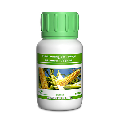 Dicamba / Triasulfuron Selective Herbicides cas 1918-00-9 / 82097-50-5 supplier